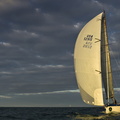 WHITE HEAT, Sail No: USA 52915, Team: GBR Red, Class: 1, Skipper: Michael Williamson, Design: Summit 40