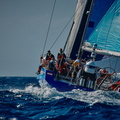 VO65 Sisi raced by the Austrian Ocean Race Project