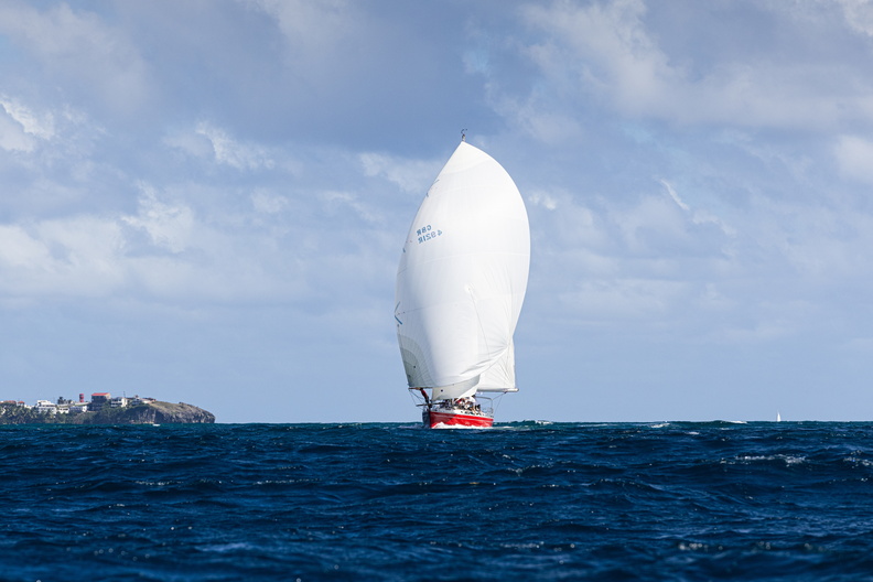 Scarlet Oyster makes way to Grenada