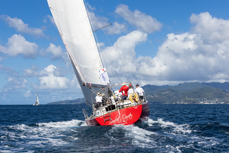 Scarlet Oyster makes a line for Grenada