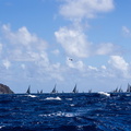 The fleet proceed down the Antiguan coast