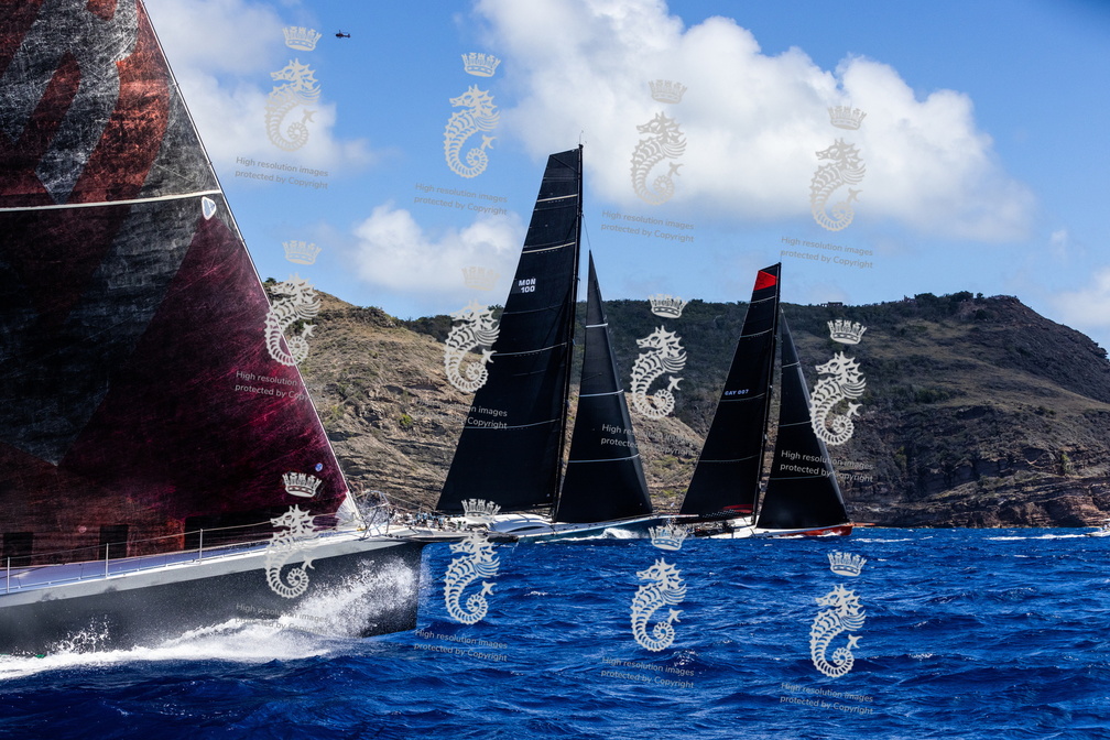 Comanche leads Leopard at the start of the race