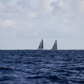 The 70ft multihulls come flying in closely to the finish