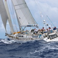 Discoverer of Hornet, Challenge 72 sailed by the RNSA