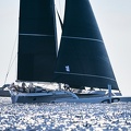 Argo, MOD70 sailed by Jason Carroll